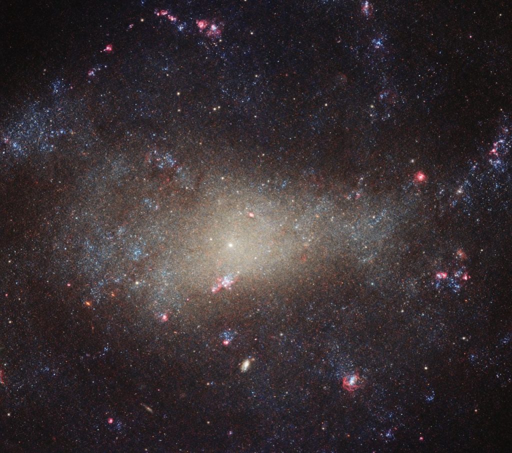 Una galaxia tenue y difusa en la constelación de Canes Venatici