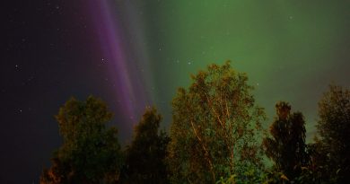 Auroras boreales desde Skellefteå, Suecia