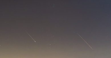 Dos perseidas, la constelación de Tauro y las Pléyades