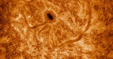 Imagen de la región activa 2670 en el Sol