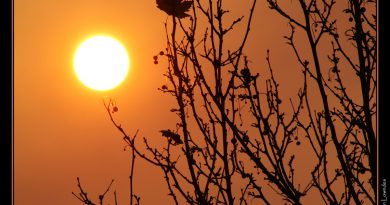 El Sol al atardecer en Sidney, Australia