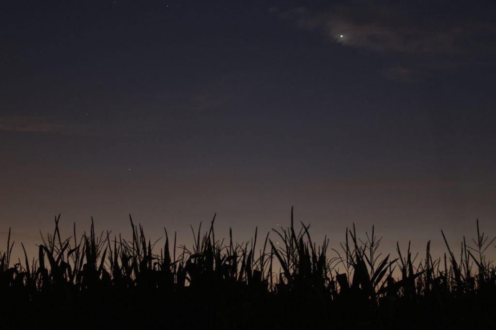 Venus, Regulus y Mercurio desde Ohio, Estados Unidos