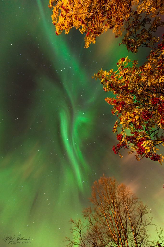 Una corona de auroras desde Kiruna, Suecia