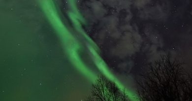 Auroras boreales desde Salla (norte de Finlandia)