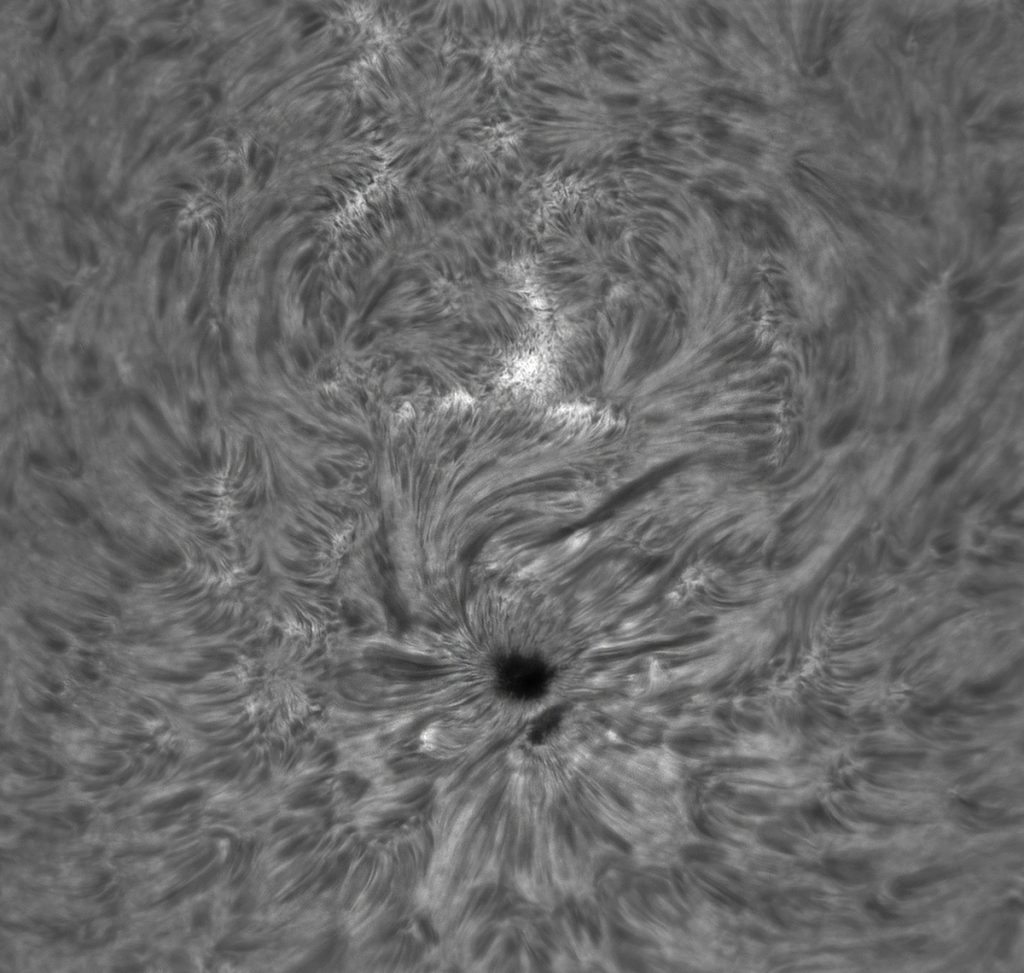 Imagen de la región activa 2683 en el Sol