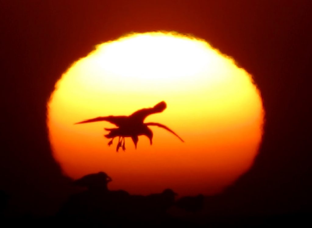 La puesta de Sol desde San Francisco, California