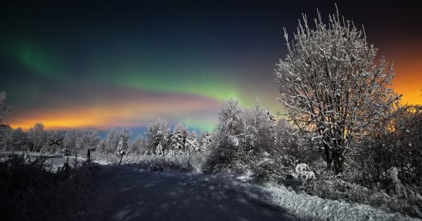 Auroras boreales desde Salla, Finlandia