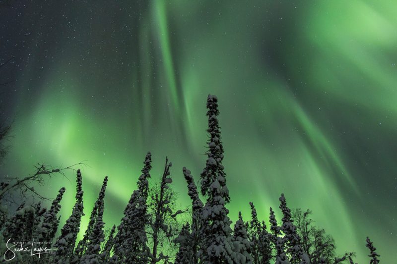 Auroras boreales desde Fairbanks, Alaska