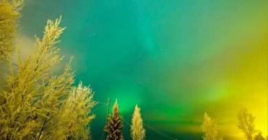 Auroras boreales desde Salla, Finlandia