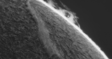 Fotografía de una prominencia solar captada el 29 de noviembre