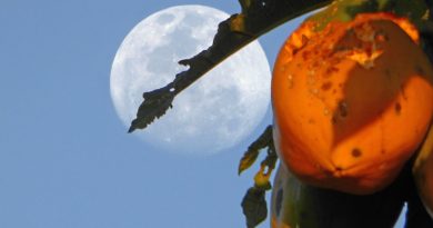 La Luna desde Mutare, Zimbabue