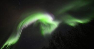 Auroras boreales desde Fairbanks, Alaska