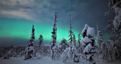 Auroras boreales desde Salla, Finlandia