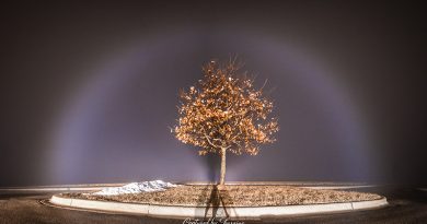 Arco de niebla captado en Hampshire, Estados Unidos