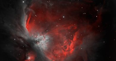 Imagen de la Nebulosa de Orión (M42)