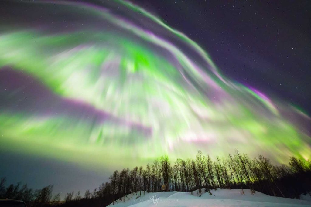 Auroras boreales fotografiadas desde Senja, Noruega