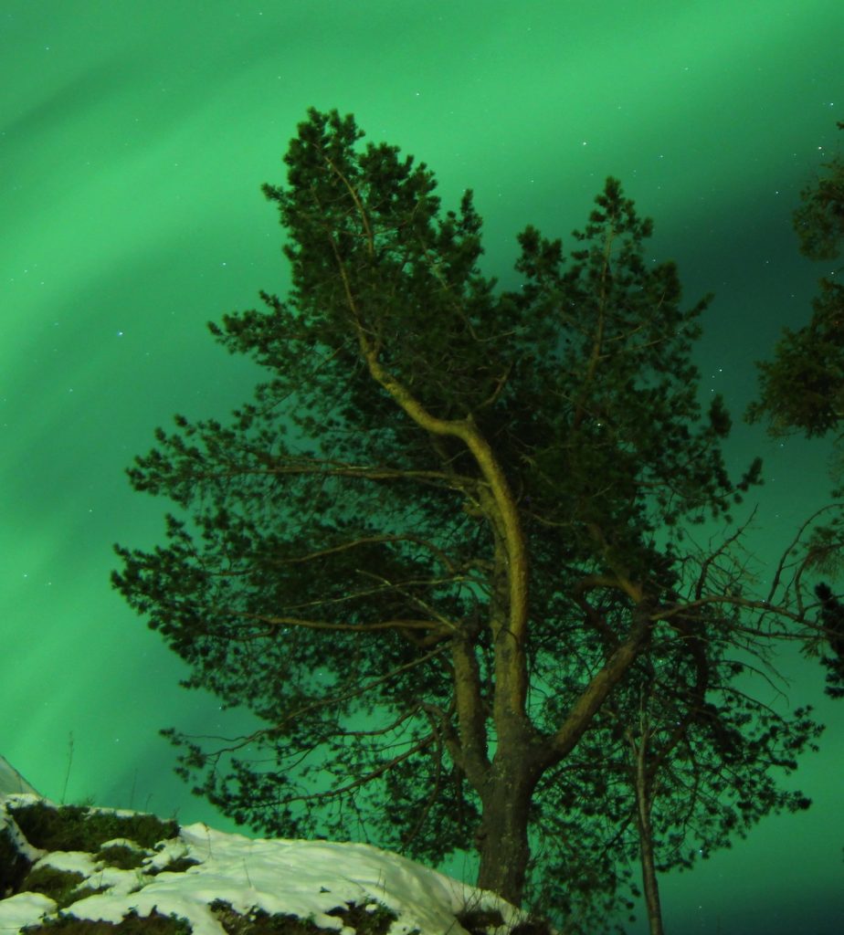 Auroras boreales captadas sobre las islas Lofoten (Noruega)