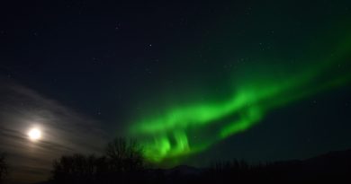 Auroras boreales y la Luna desde Palmer, Alaska