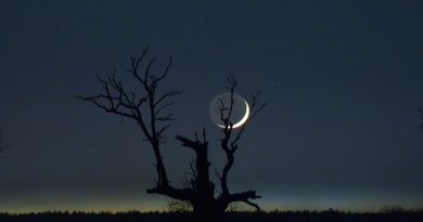 La puesta de la Luna desde Rogalin, Polonia