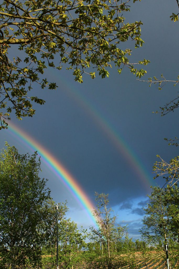 Arcoíris doble fotografiado en Kent, Inglaterra