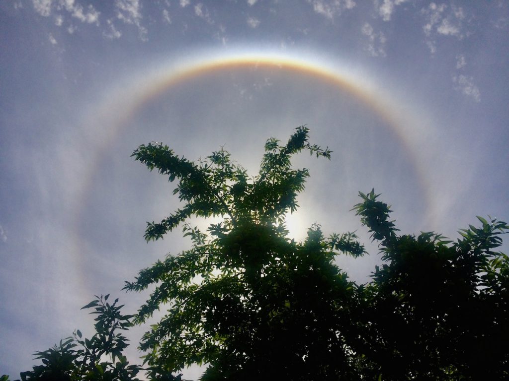 Halo solar fotografiado desde California, Estados Unidos
