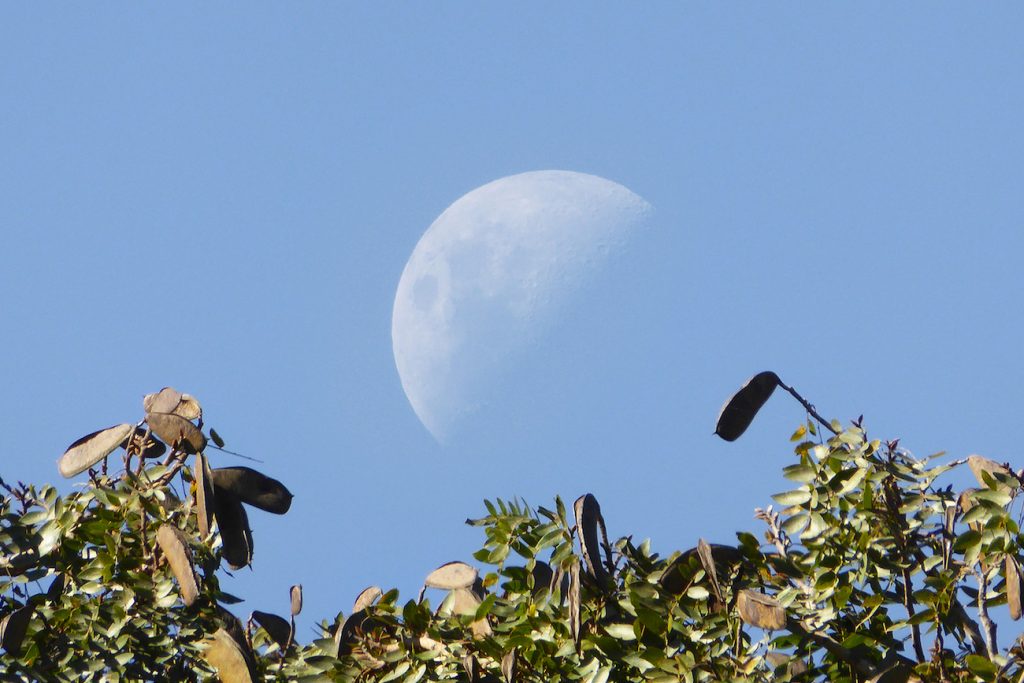 Foto de la Luna tomada el 20 de junio desde Zimbabue