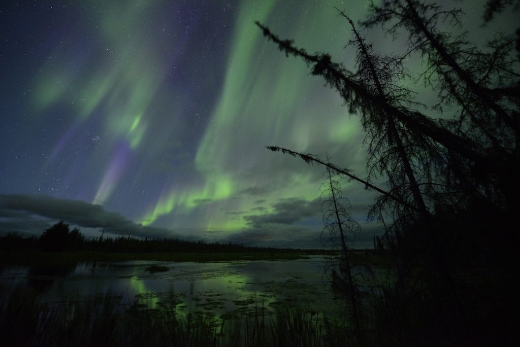 Auroras boreales fotografiadas desde Alberta, Canadá