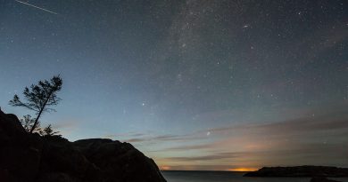 Foto de una perseida y la Vía Láctea desde Älmsta, Suecia