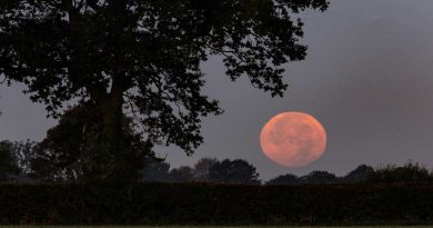 La puesta de la Luna fotografiada desde Norfolk, Inglaterra