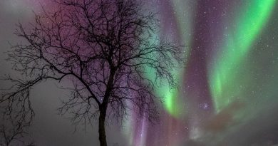 Auroras boreales fotografiadas desde Abisko, Suecia