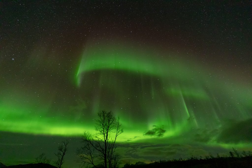 Auroras boreales fotografiadas desde Senja, Noruega