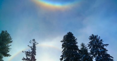 Imagen de un halo solar y un arco circuncenital tomada desde California