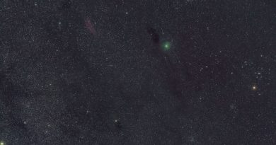 Fotografía del Cometa 46P/Wirtanen y la estrella Aldebarán