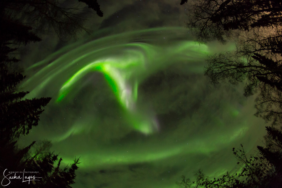 Auroras boreales fotografiadas desde Fairbanks, Alaska