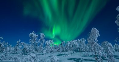 Auroras boreales fotografiadas desde Senja, Noruega