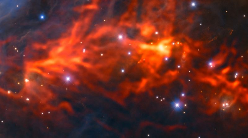 La red interna de una guardería estelar