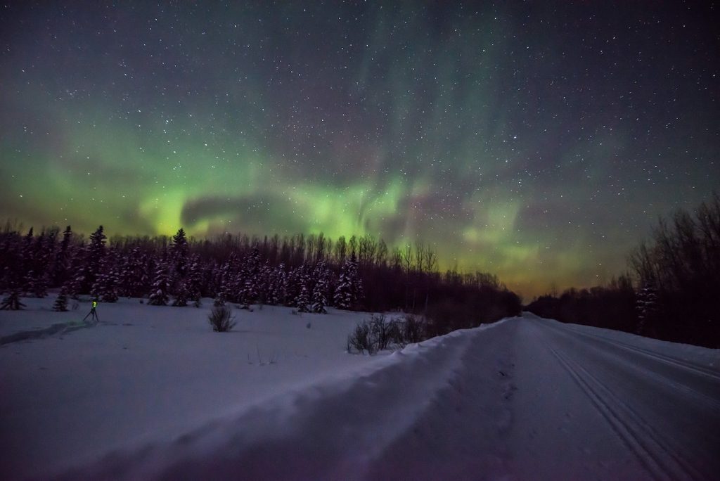 Auroras boreales fotografiadas desde Alberta, Canadá