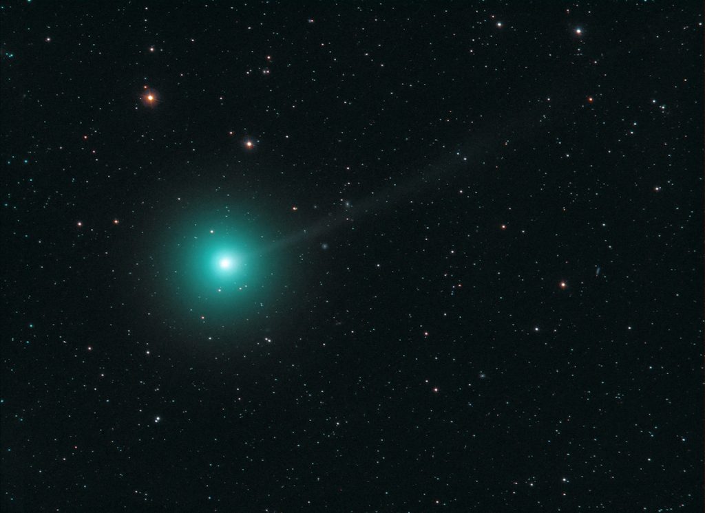 Imagen del Cometa C/2018 Y1 (Iwamoto) tomada el 7 de febrero