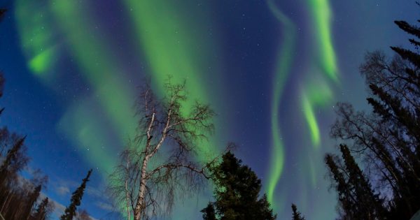 Auroras boreales captadas desde Alaska (15-abril)