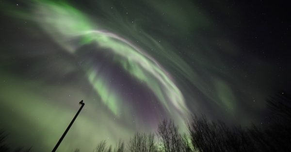 Auroras boreales fotografiadas desde Fairbanks, Alaska
