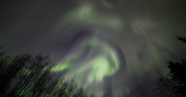 Foto de auroras boreales tomada desde Fairbanks, Alaska