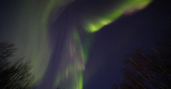 Auroras boreales fotografiadas desde Fairbanks, Alaska