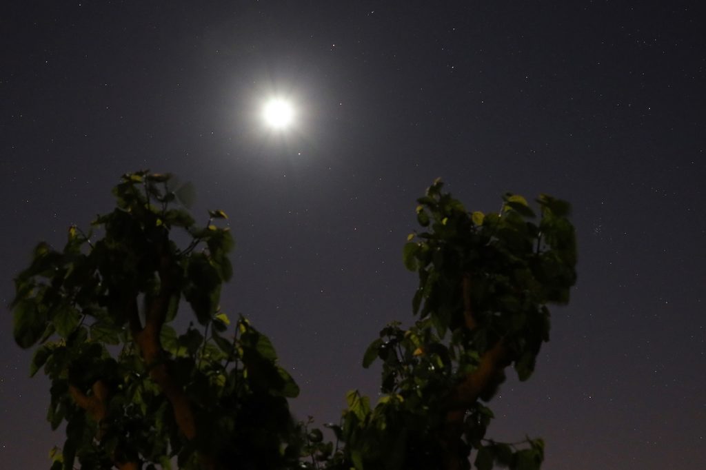Foto de la Luna y Regulus tomada desde Arenys de Munt, Barcelona
