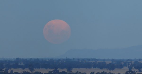 Fotografía de la Luna tomada desde Victoria, Australia