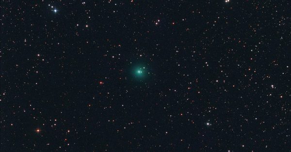 Imagen del Cometa C/2018 R3 (Lemmon) tomada el 24 de mayo