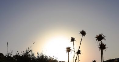 Imagen del Sol tomada al amanecer en Arenys de Munt, Barcelona
