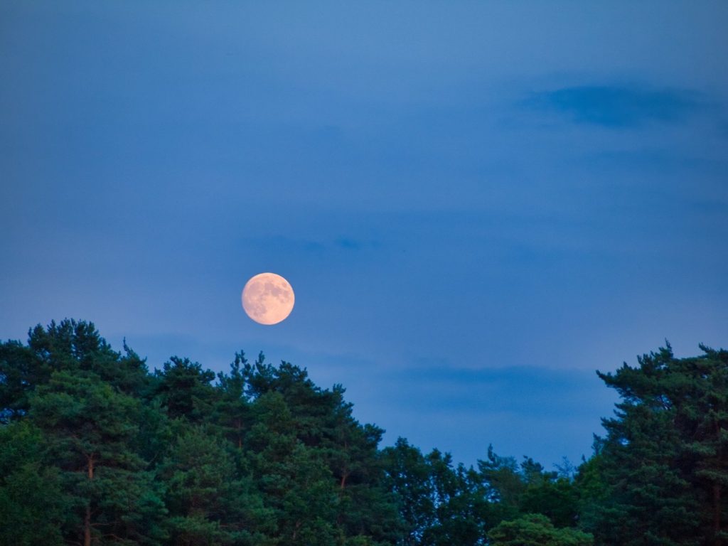 La salida de la Luna fotografiada desde Hampshire, Inglaterra