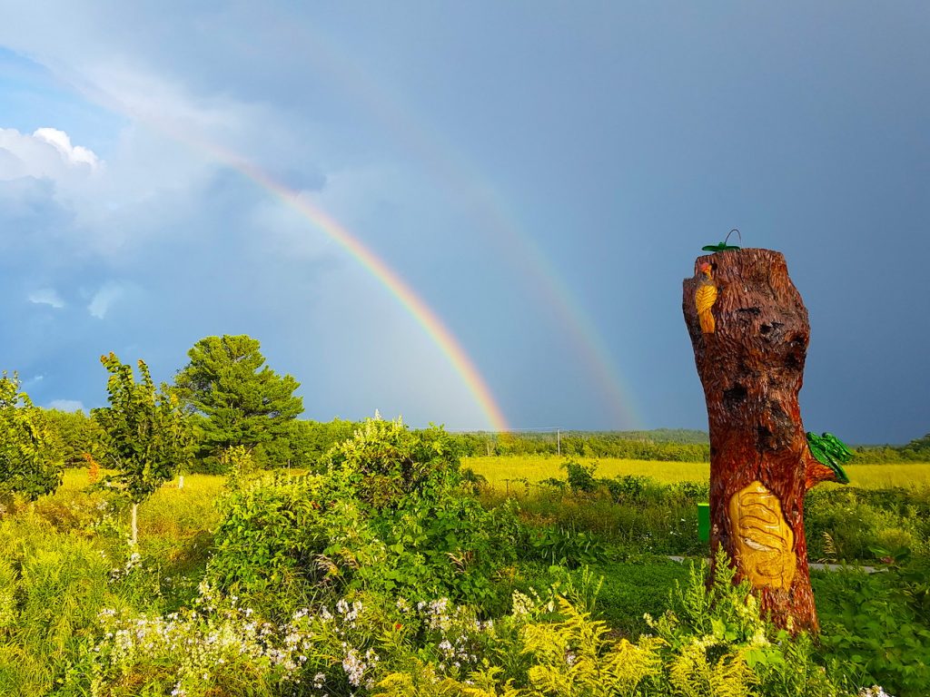 Arcoíris doble fotografiado desde Cedar Valley, Canadá
