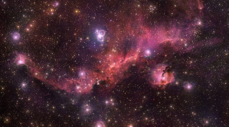 Las impresionantes alas de la Nebulosa de la Gaviota