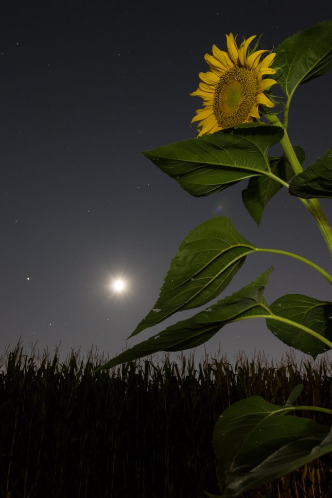Júpiter y la Luna fotografiados desde Pennsylvania, Estados Unidos